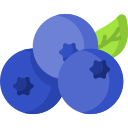 blue berry icon